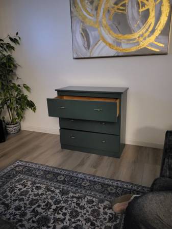 Interior - Furniture/Cabinet transformation showcase in living area